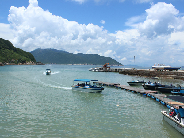 群英荟萃三门岛，文韬武略决霸主